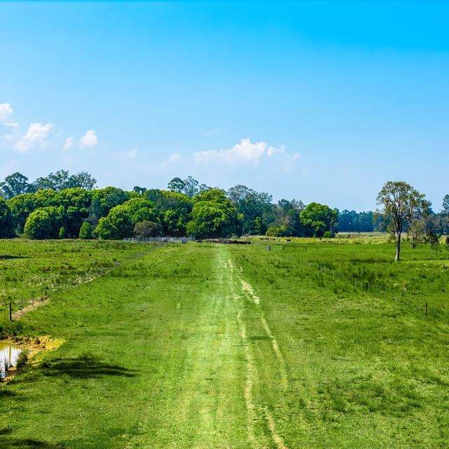 160 Busbys Flat Road, Leeville Auction by Farmbuy.com - image 18