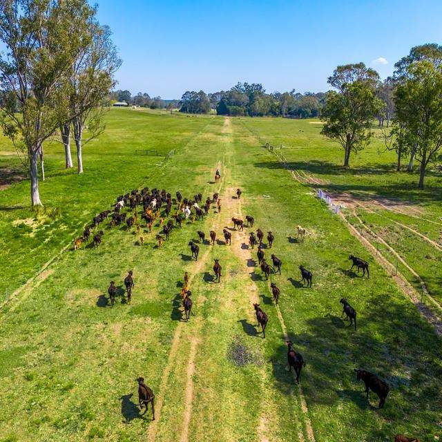 160 Busbys Flat Road, Leeville Auction by Farmbuy.com - image 23