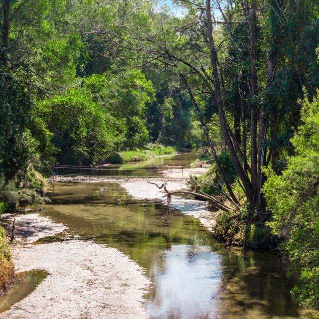 160 Busbys Flat Road, Leeville Auction by Farmbuy.com - image 34