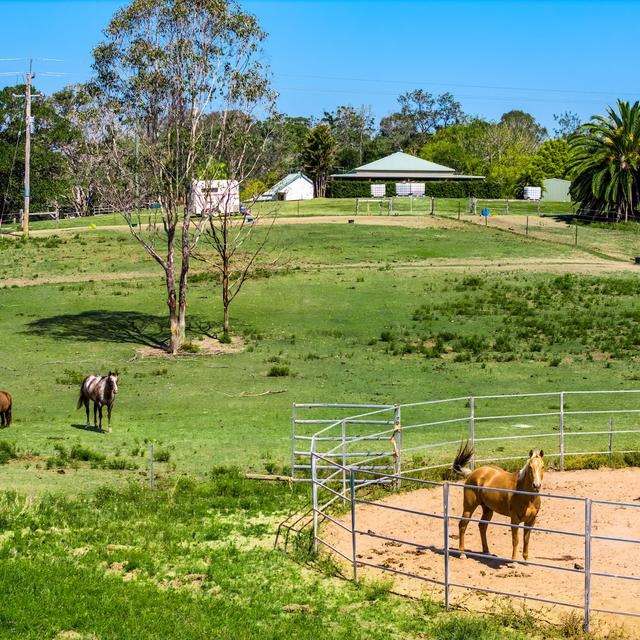 160 Busbys Flat Road, Leeville Auction by Farmbuy.com - image 37