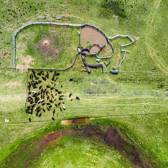 160 Busbys Flat Road, Leeville Auction by Farmbuy.com - image 19