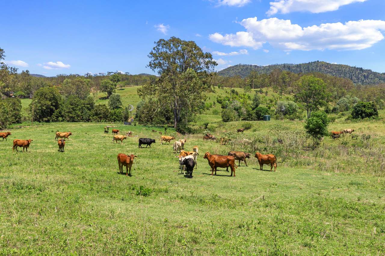 100 Archer Road, Woolooga For Sale by Farmbuy.com - image 3