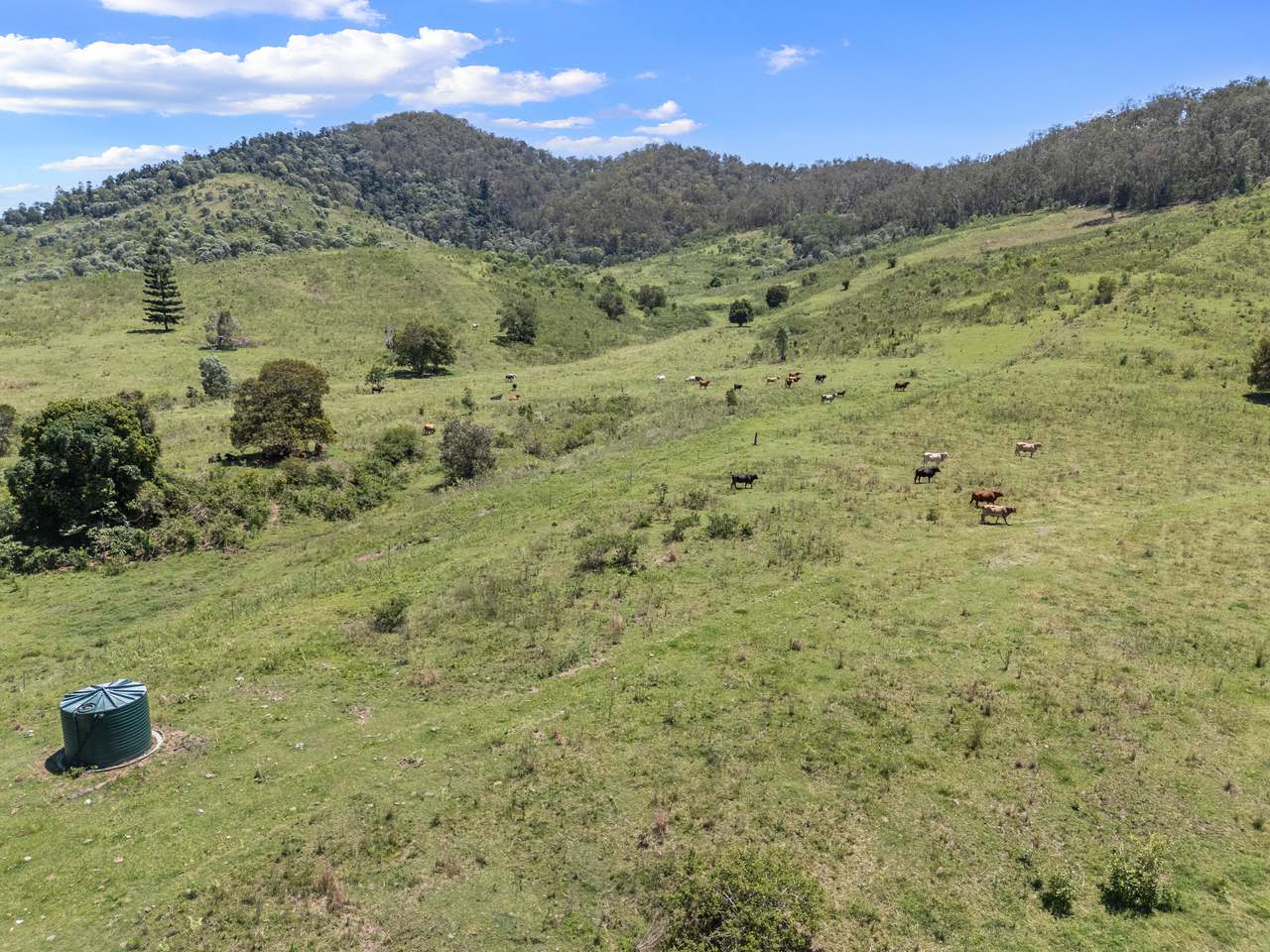 100 Archer Road, Woolooga For Sale by Farmbuy.com - image 6