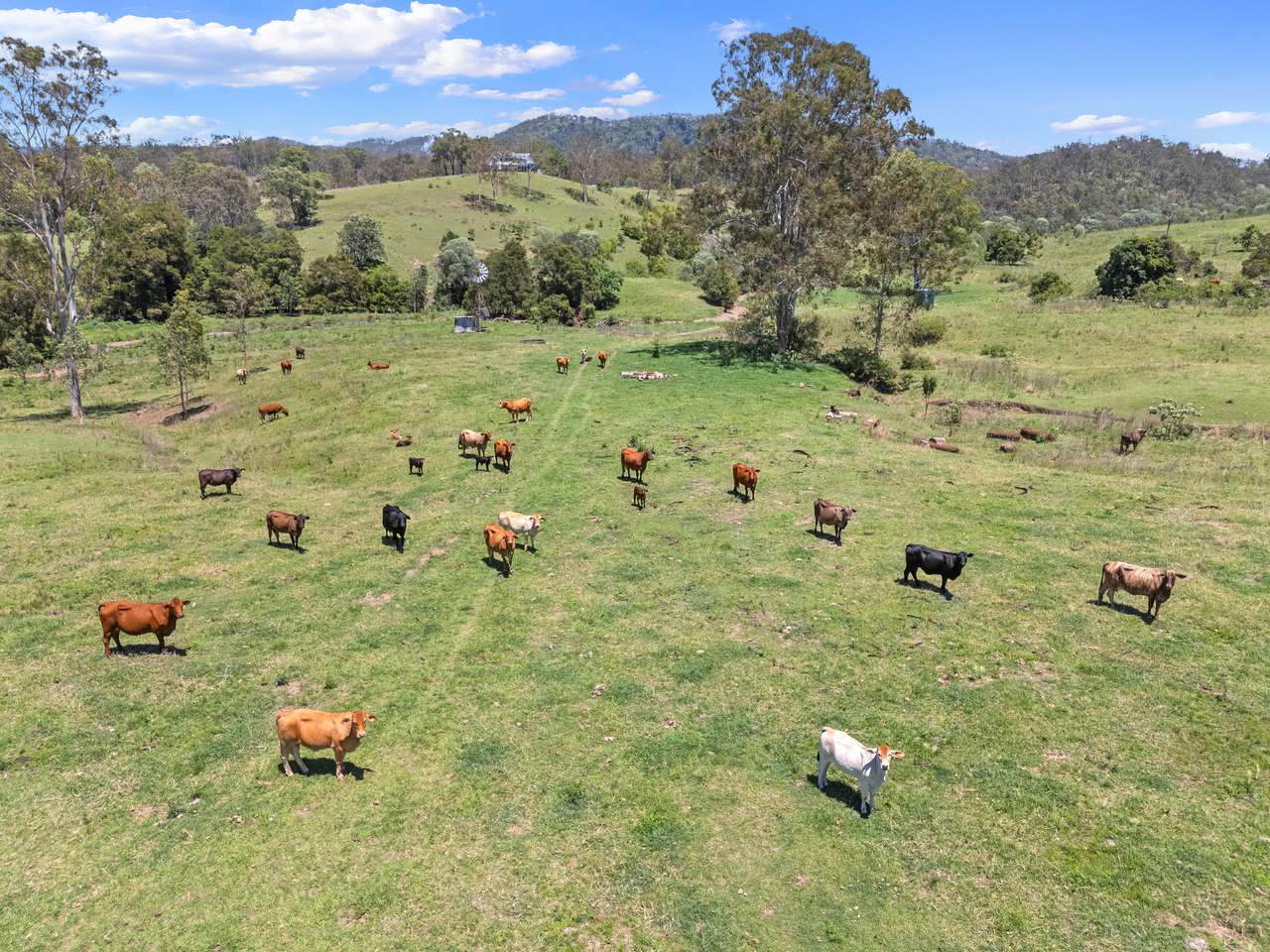 100 Archer Road, Woolooga For Sale by Farmbuy.com - image 4