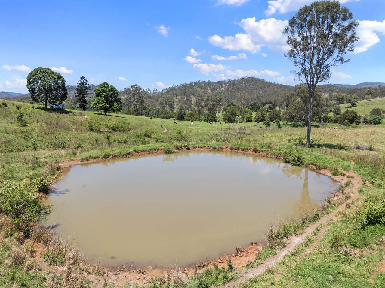 100 Archer Road, Woolooga For Sale by Farmbuy.com - image 10