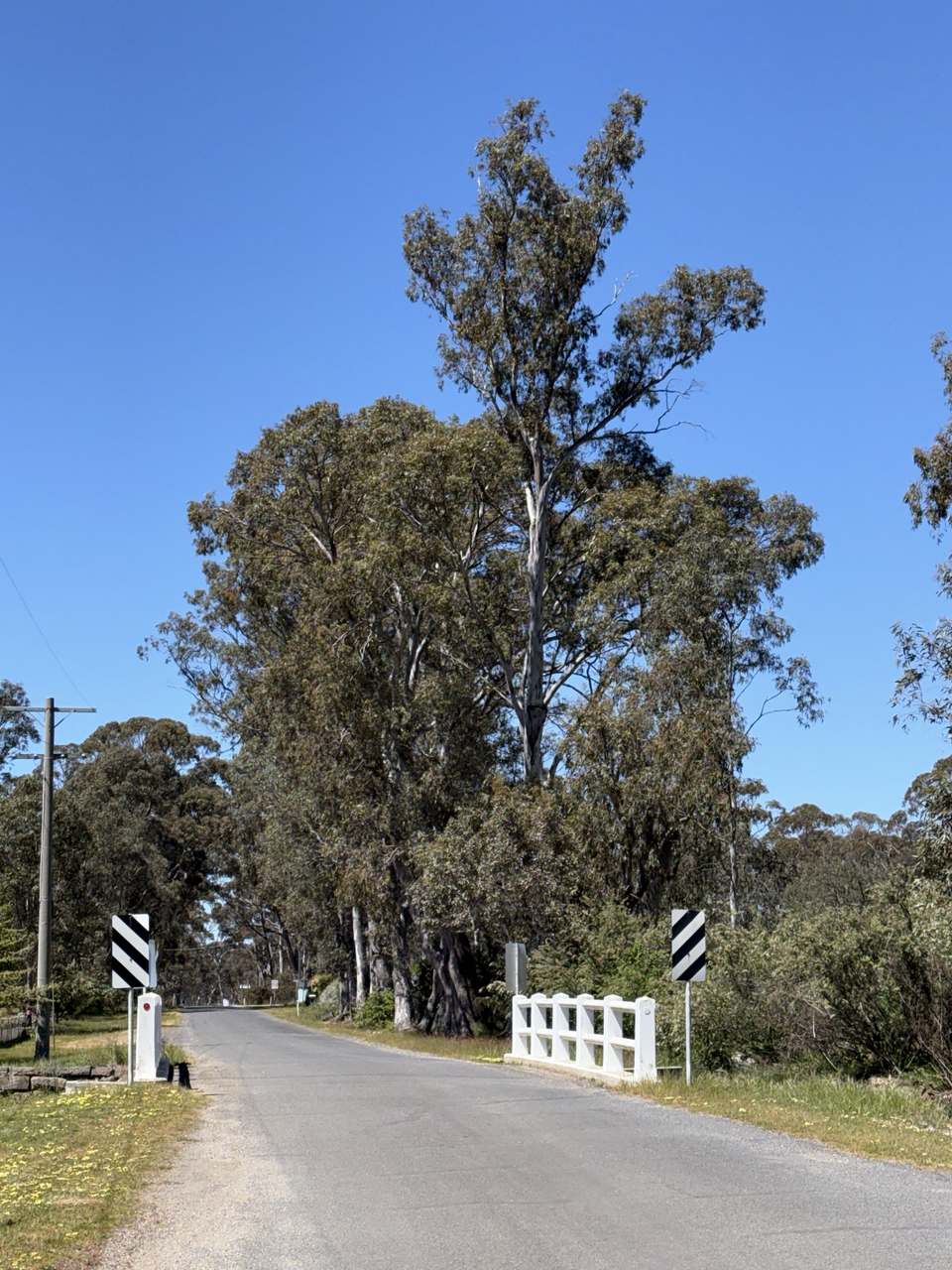 2 Stoney Crossing Road, Redbank For Sale by Farmbuy.com - image 17