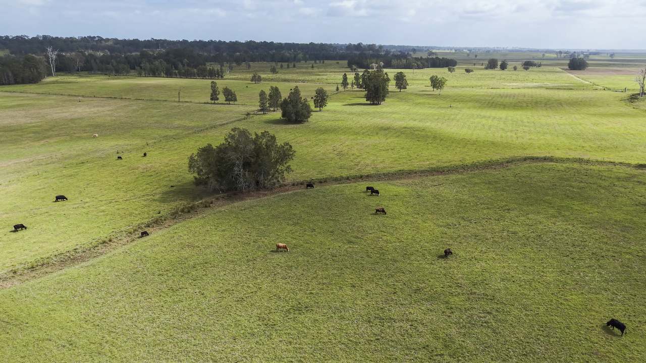 82 Carioca Lane , Glenugie For Sale by Farmbuy.com - image 9
