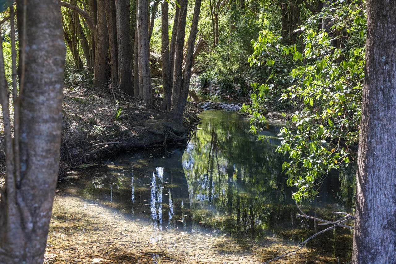 25 Coldwater Creek Road, Nana Glen  For Sale by Farmbuy.com - image 32