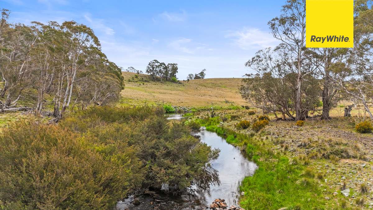 148 Ferndale Road, Coolumbooka Auction by Farmbuy.com - image 15