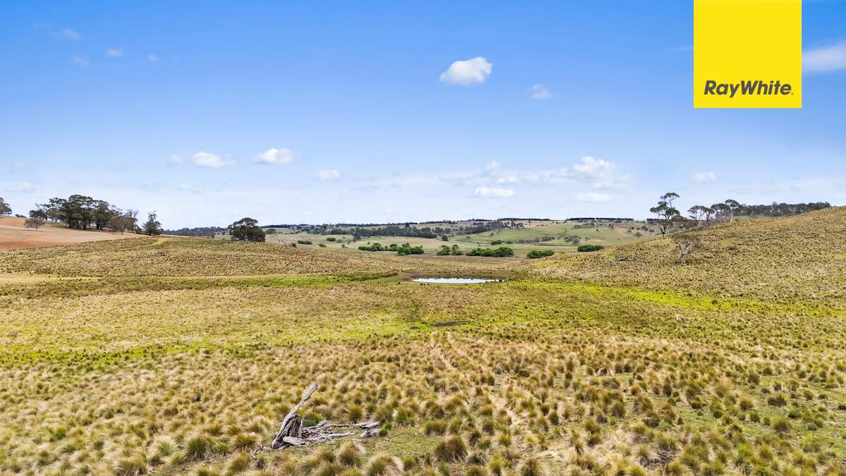 148 Ferndale Road, Coolumbooka Auction by Farmbuy.com - image 20