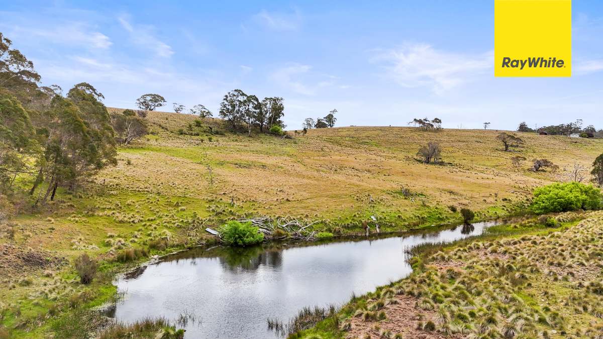 148 Ferndale Road, Coolumbooka Auction by Farmbuy.com - image 16