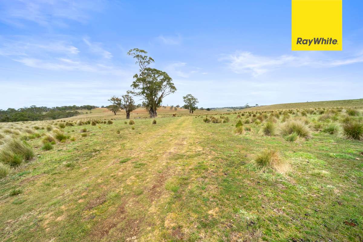 148 Ferndale Road, Coolumbooka Auction by Farmbuy.com - image 24