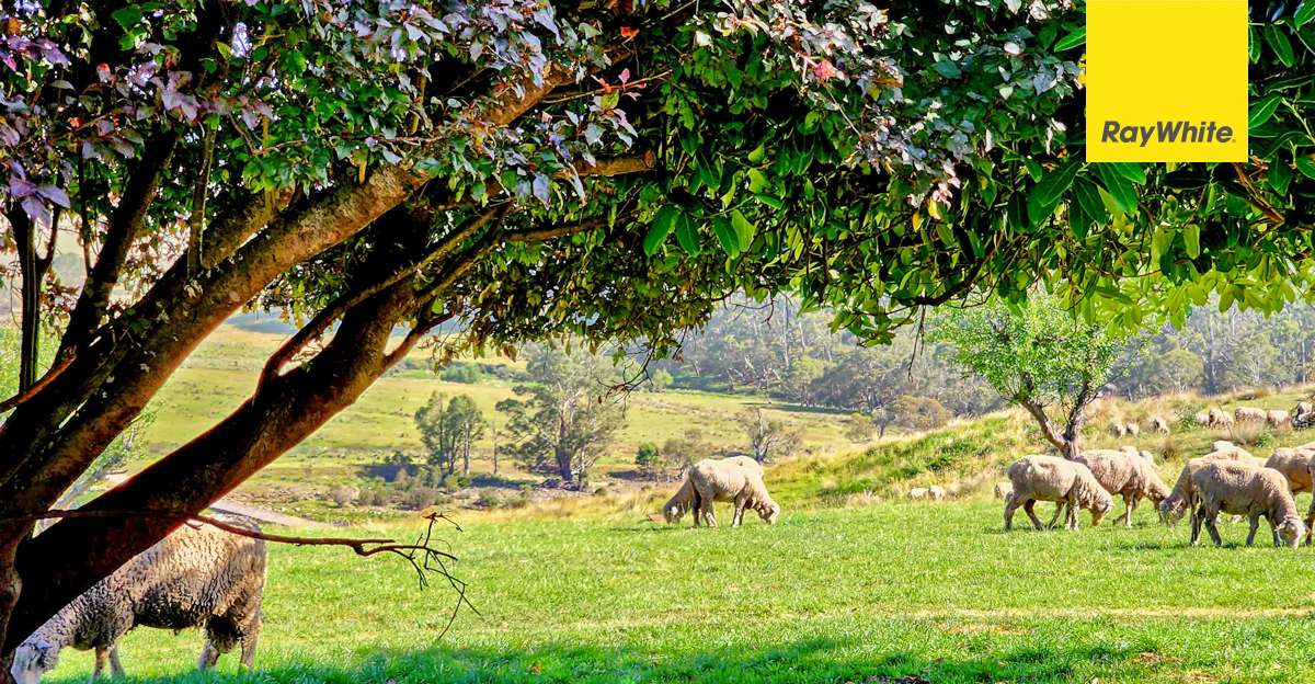 148 Ferndale Road, Coolumbooka Auction by Farmbuy.com - image 12