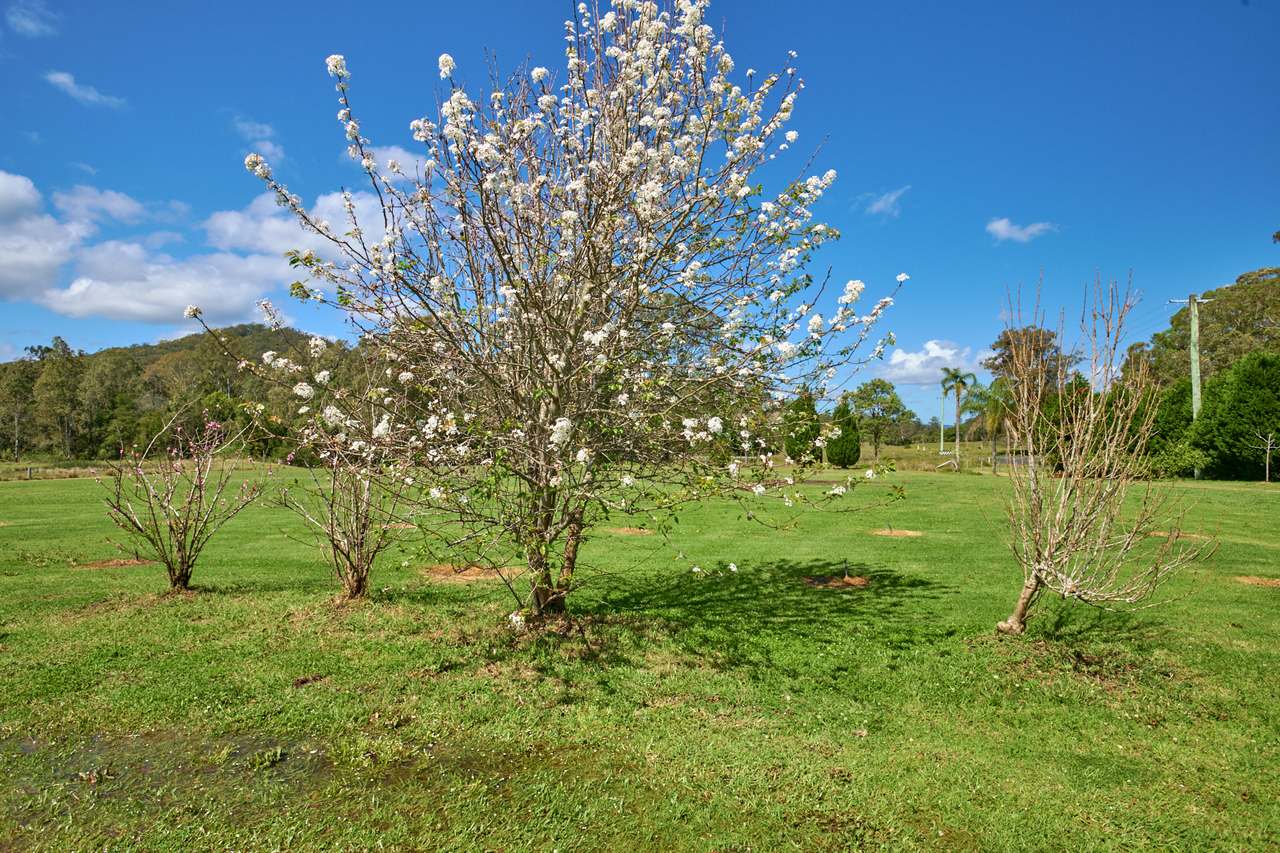 10 Markwell Back Road , Bulahdelah For Sale by Farmbuy.com - image 13
