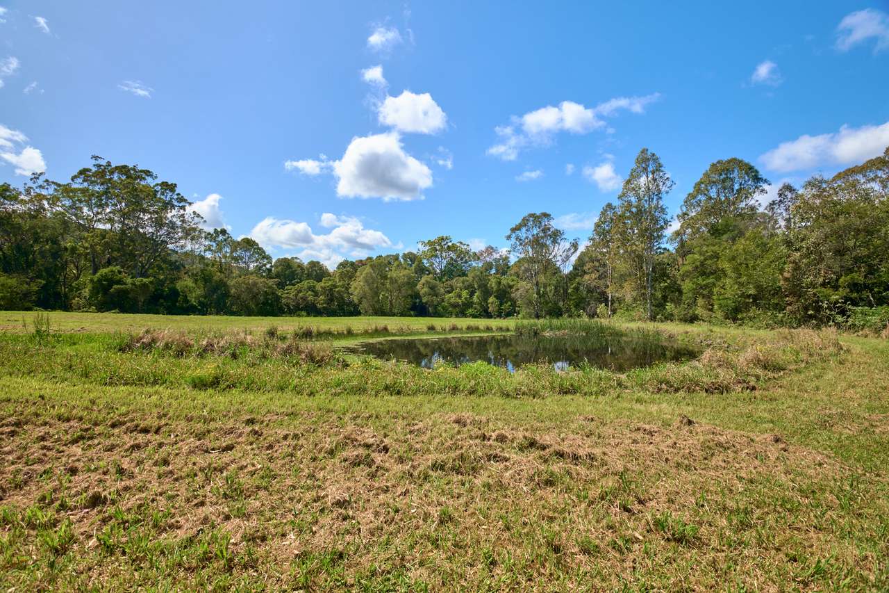 10 Markwell Back Road , Bulahdelah For Sale by Farmbuy.com - image 17