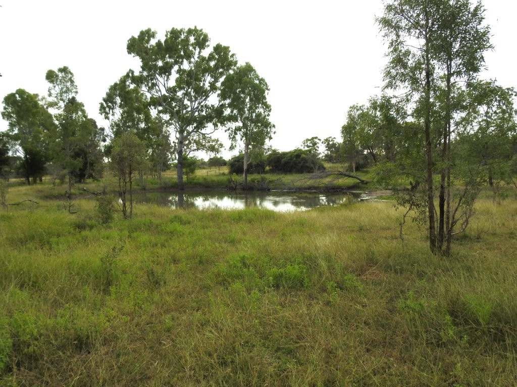 95 Curtis Road, Broughton For Sale by Farmbuy.com - image 21