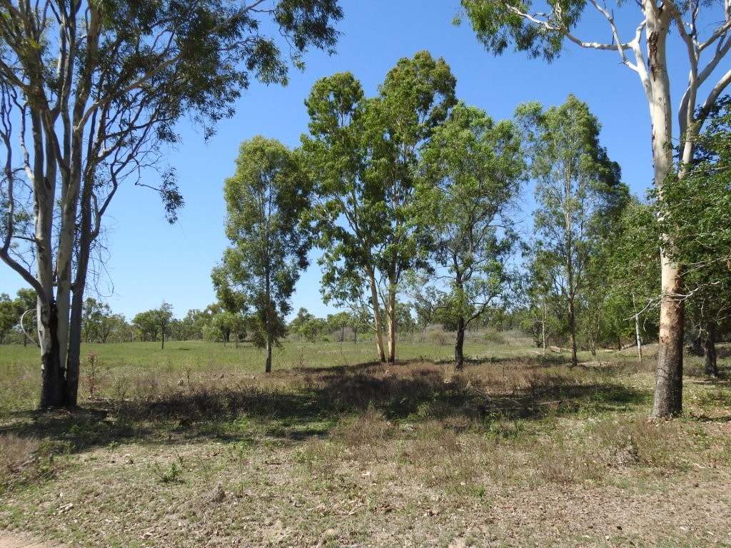 95 Curtis Road, Broughton For Sale by Farmbuy.com - image 28