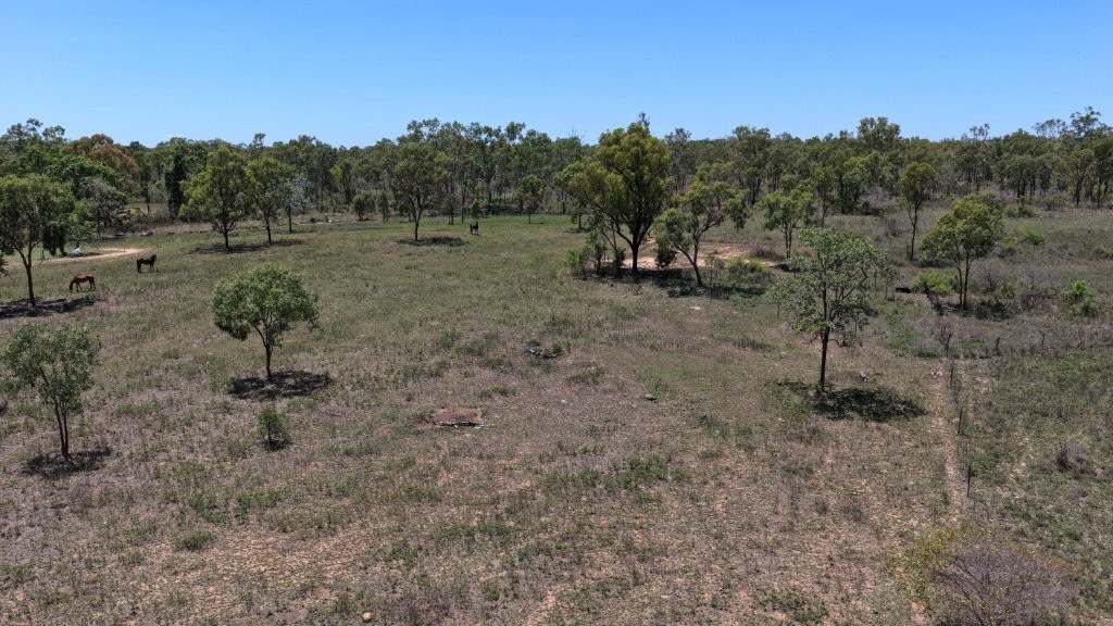 95 Curtis Road, Broughton For Sale by Farmbuy.com - image 20