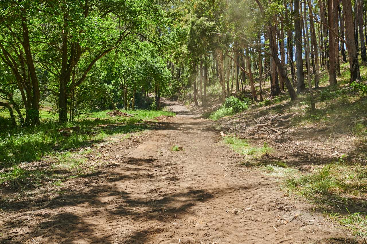 789 Bombah Point Road, Bombah Point For Sale by Farmbuy.com - image 35