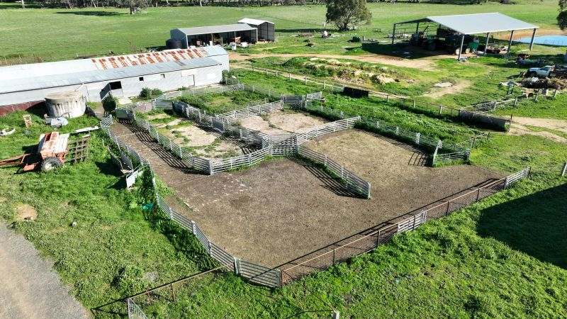 Ledcourt Road, Ledcourt For Sale by Farmbuy.com - image 5