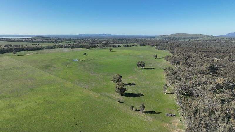 Ledcourt Road, Ledcourt For Sale by Farmbuy.com - image 8