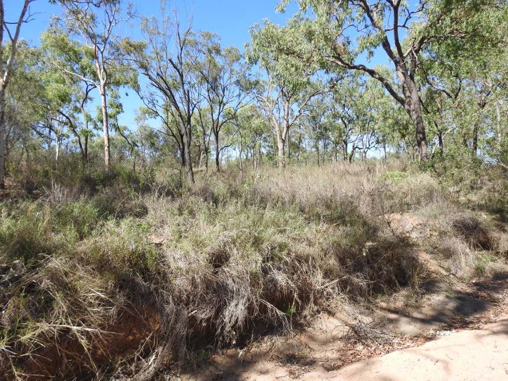 454 Bus Road, Broughton For Sale by Farmbuy.com - image 9