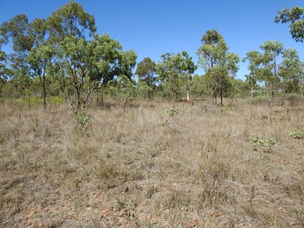 454 Bus Road, Broughton For Sale by Farmbuy.com - image 15