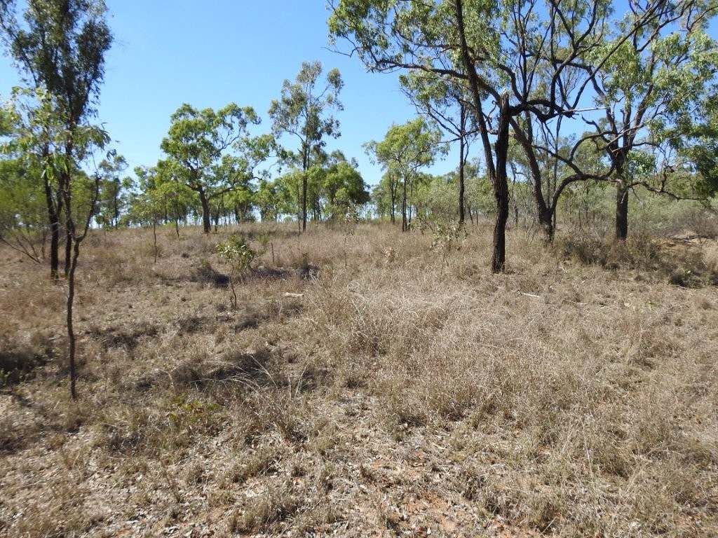 454 Bus Road, Broughton For Sale by Farmbuy.com - image 14