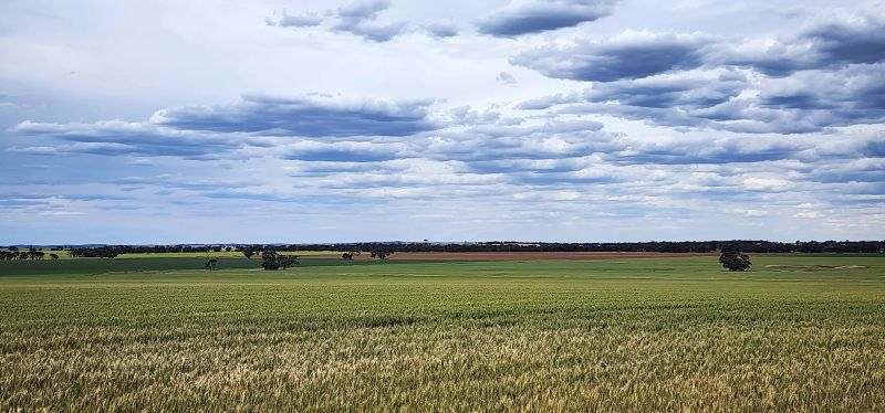 Netherby-Baker Road, Netherby Expressions of Interest by Farmbuy.com - image 19