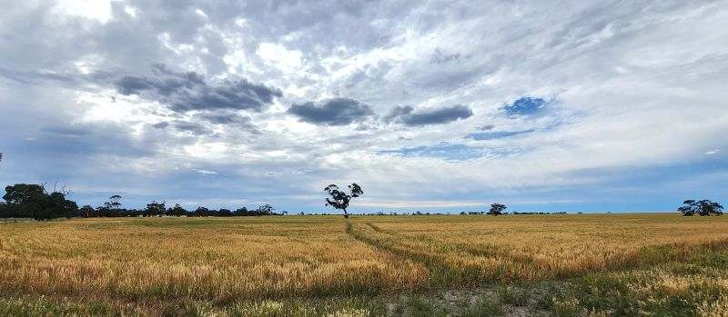 Netherby-Baker Road, Netherby Expressions of Interest by Farmbuy.com - image 17