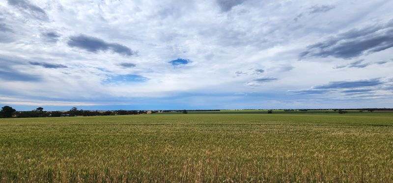 Netherby-Baker Road, Netherby Expressions of Interest by Farmbuy.com - image 18