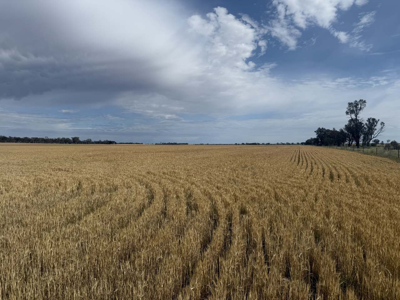 Old Katyil Road, Dimboola Expressions of Interest by Farmbuy.com - image 2