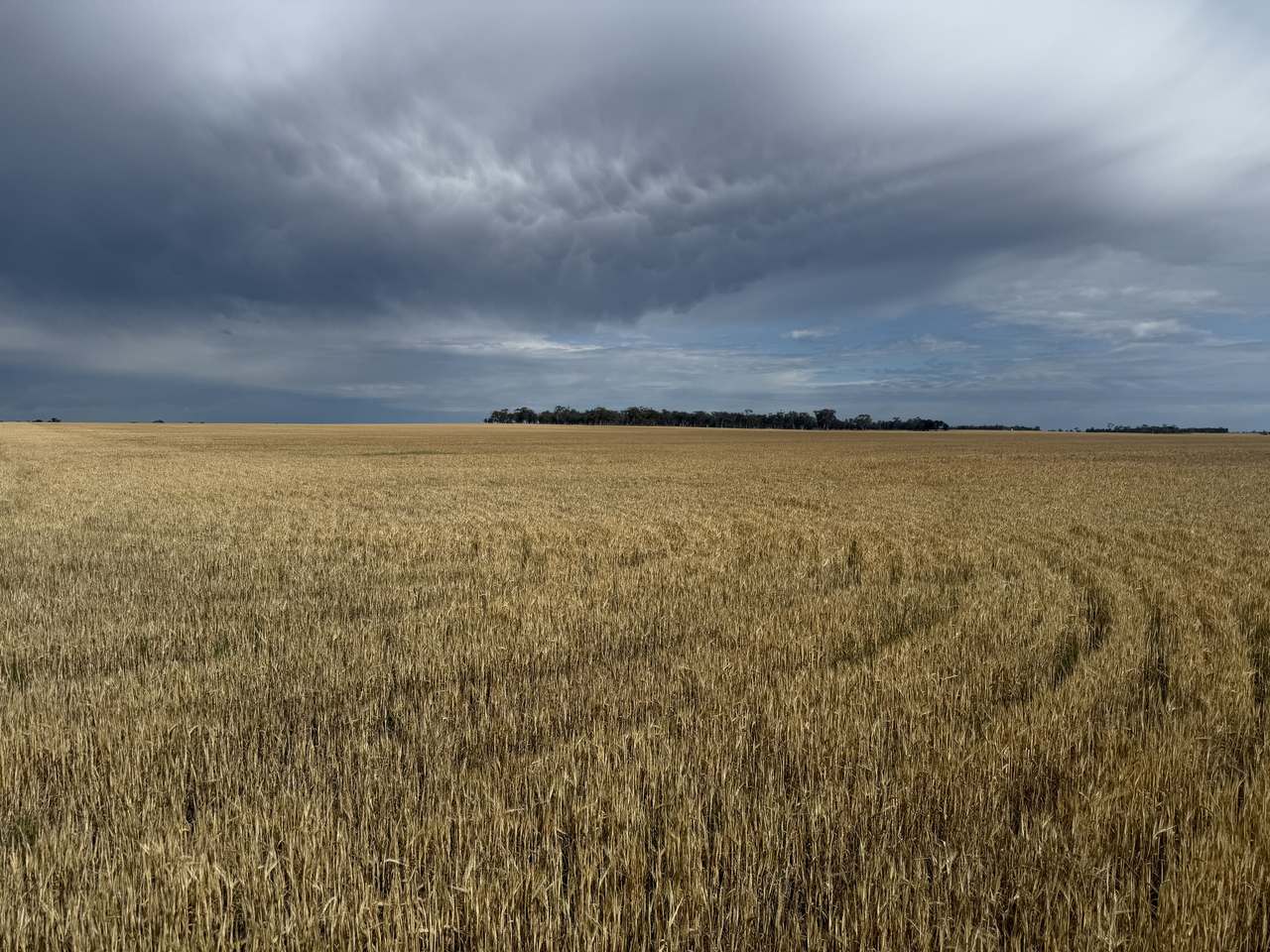 Old Katyil Road, Dimboola Expressions of Interest by Farmbuy.com - image 3