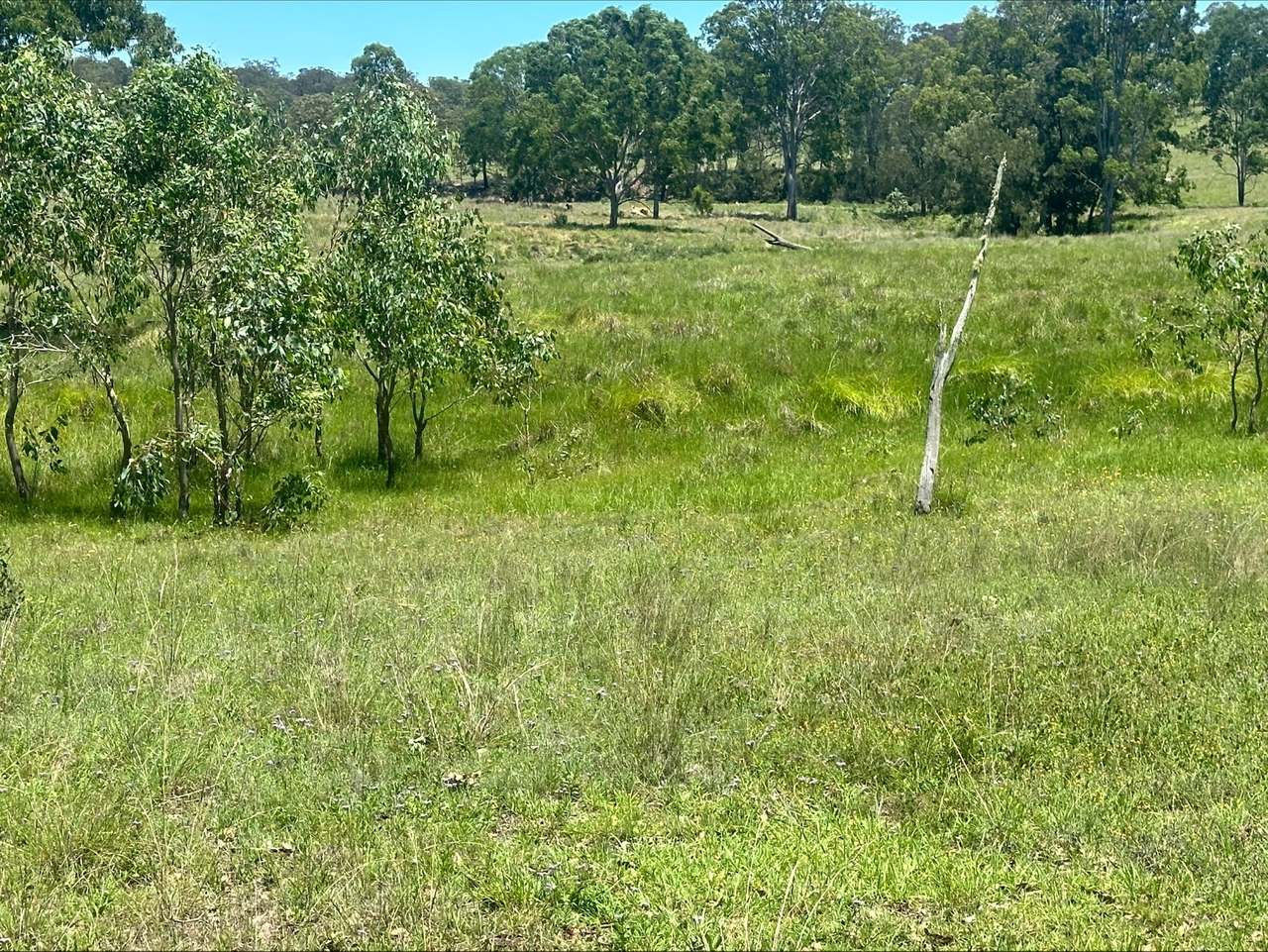 3861 Manumbar Road, Manumbar, Manumbar For Sale by Farmbuy.com - image 10