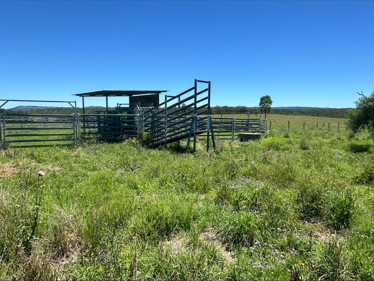 3861 Manumbar Road, Manumbar, Manumbar For Sale by Farmbuy.com - image 4