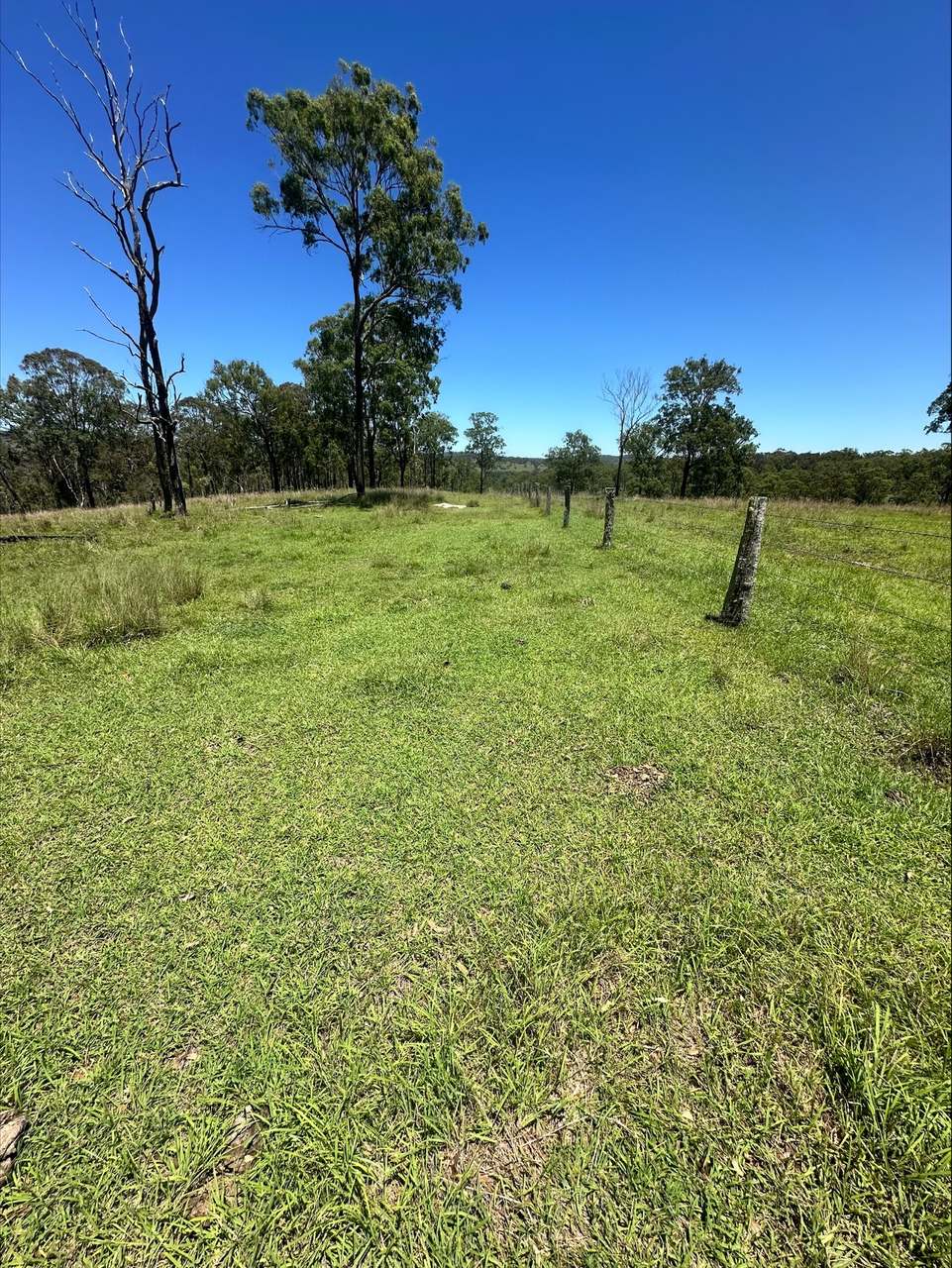 3861 Manumbar Road, Manumbar, Manumbar For Sale by Farmbuy.com - image 11