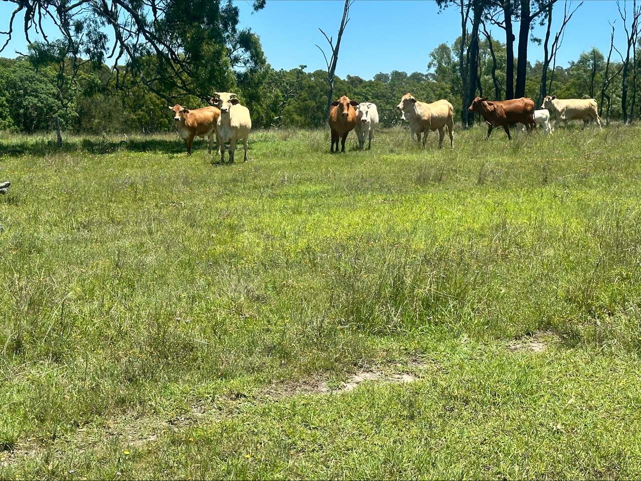 3861 Manumbar Road, Manumbar, Manumbar For Sale by Farmbuy.com - image 13