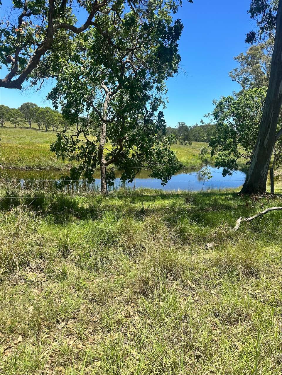 3861 Manumbar Road, Manumbar, Manumbar For Sale by Farmbuy.com - image 6