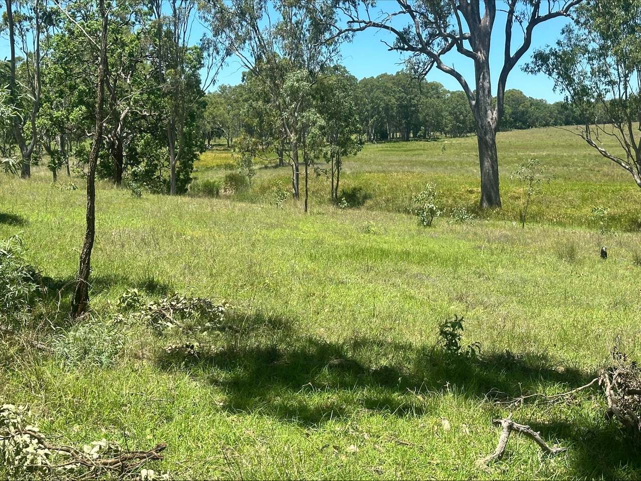 3861 Manumbar Road, Manumbar, Manumbar For Sale by Farmbuy.com - image 12