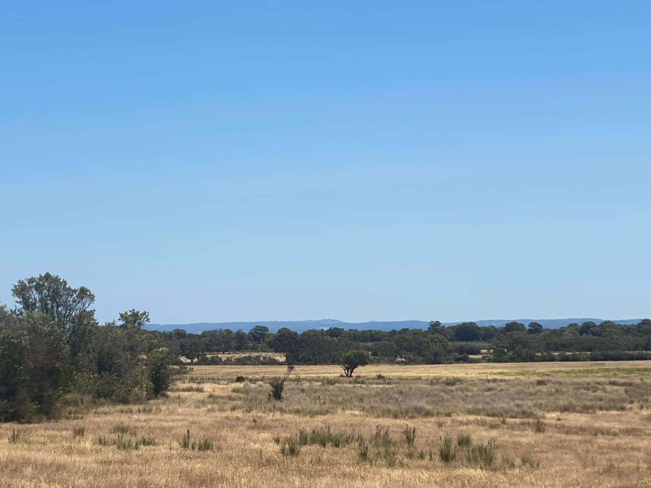 235 Mosquito Creek Road, French Island For Sale by Farmbuy.com - image 4