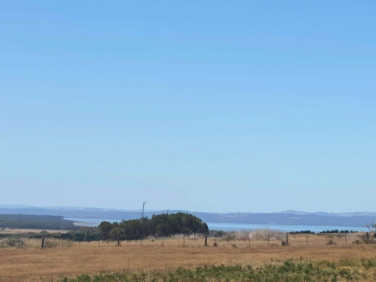 235 Mosquito Creek Road, French Island For Sale by Farmbuy.com - image 2