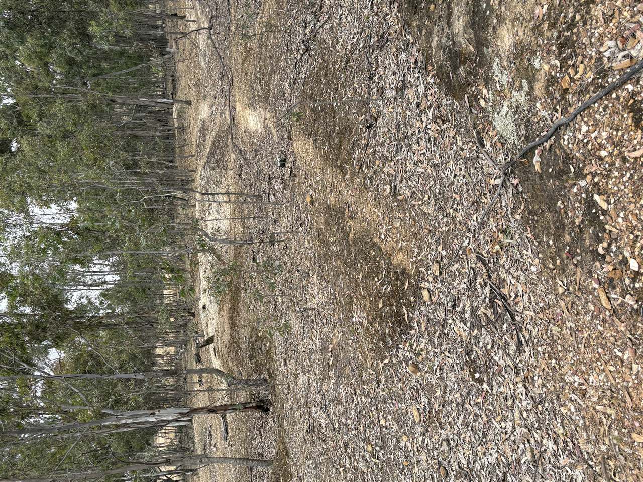 Moonambel For Sale by Farmbuy.com - image 3