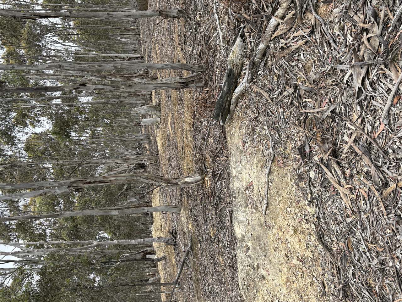 Moonambel For Sale by Farmbuy.com - image 4