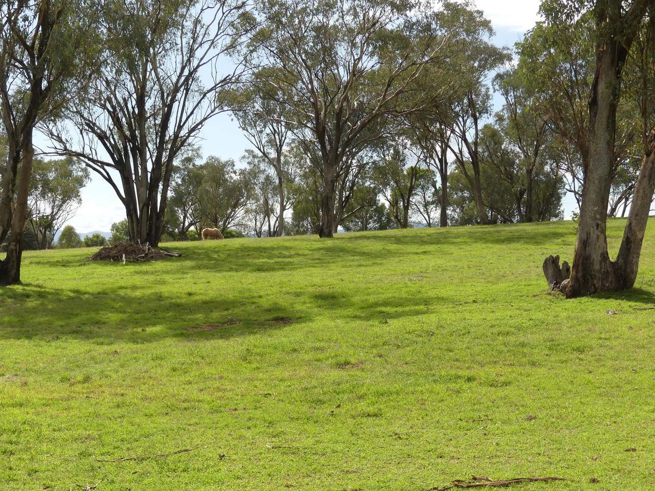 95 Spains Lane, Tamworth For Sale by Farmbuy.com - image 19