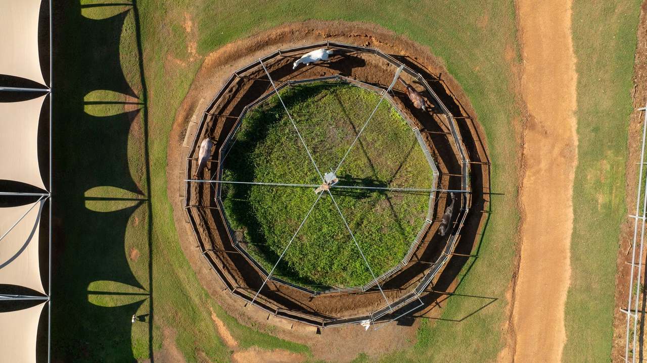 95 Spains Lane, Tamworth For Sale by Farmbuy.com - image 7