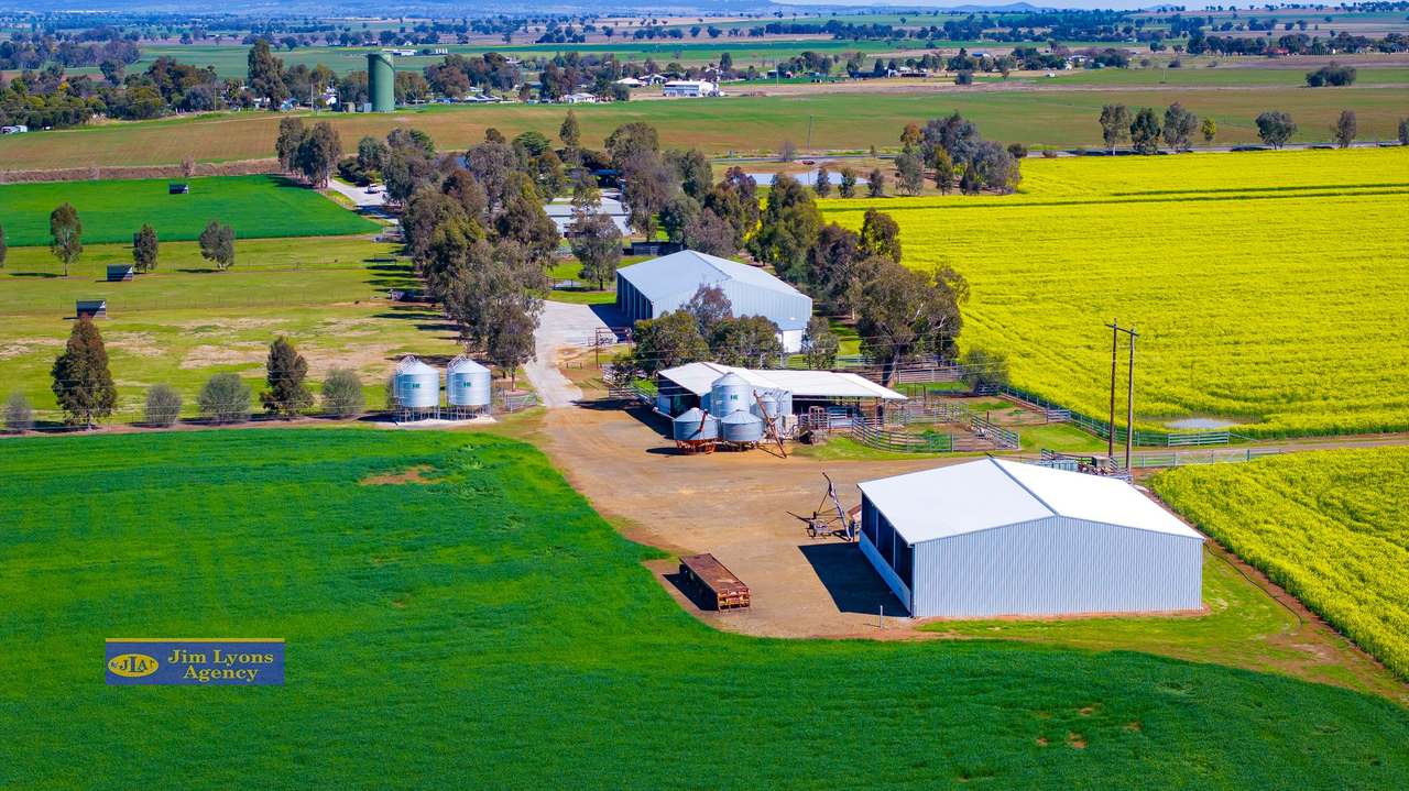 2226 Manilla Road, Tamworth For Sale by Farmbuy.com - image 56