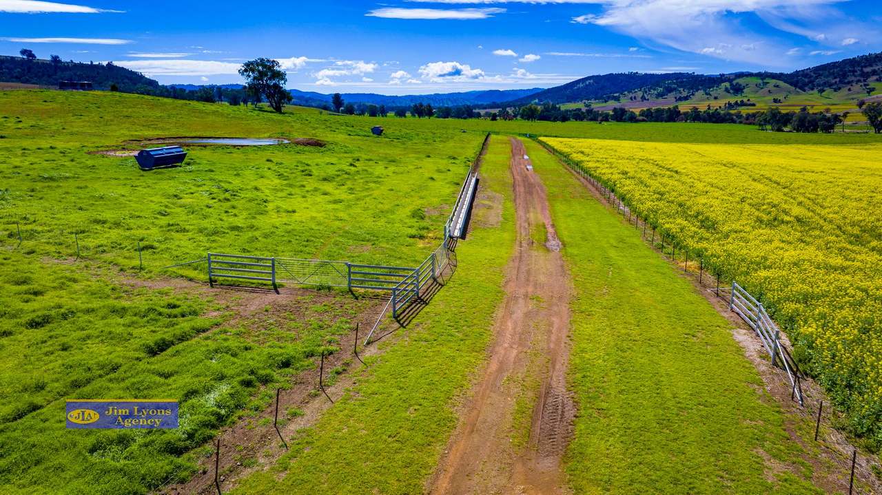 2226 Manilla Road, Tamworth For Sale by Farmbuy.com - image 37