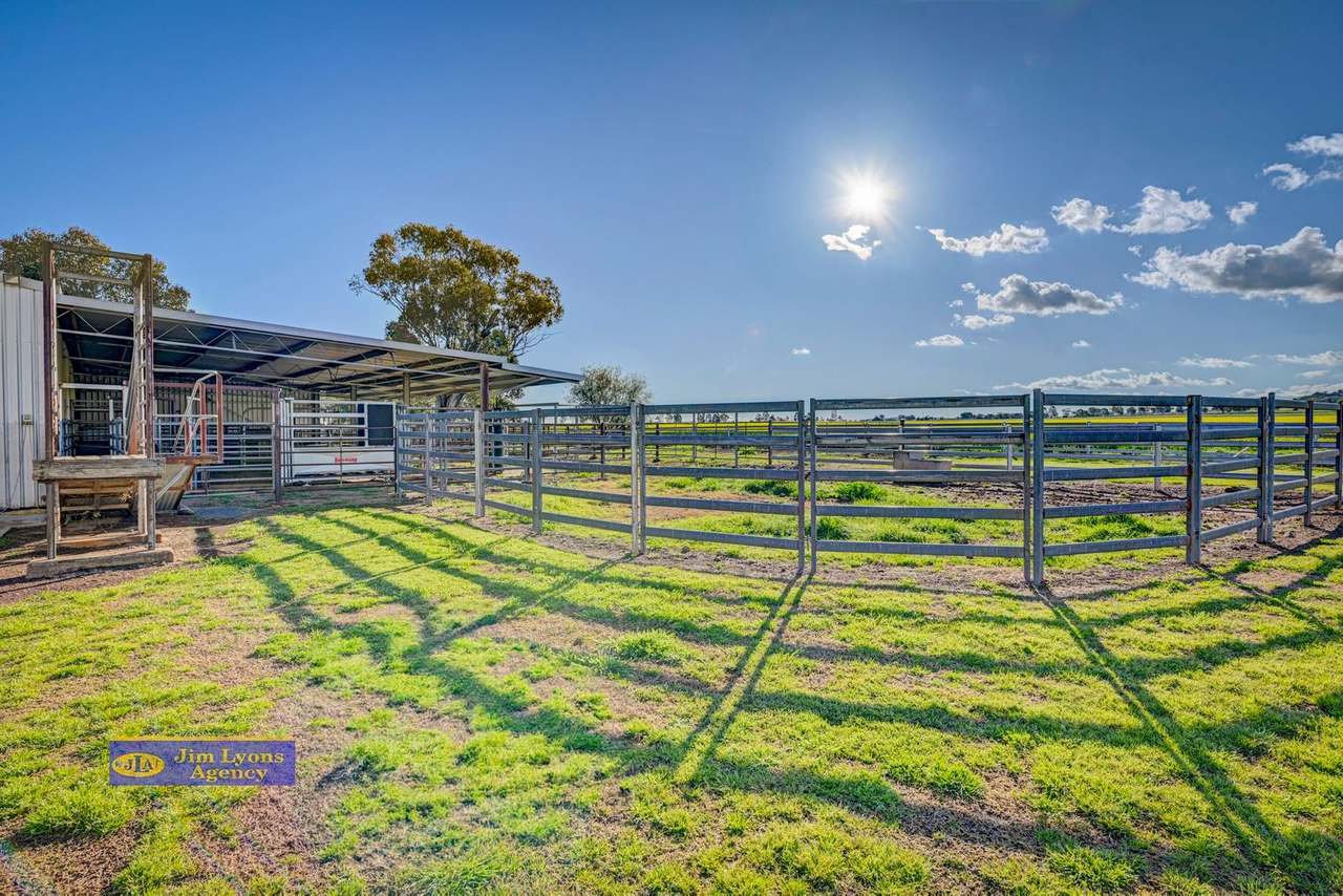 2226 Manilla Road, Tamworth For Sale by Farmbuy.com - image 28