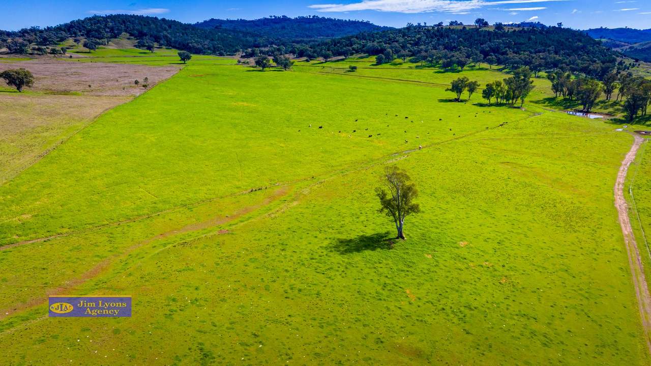 2226 Manilla Road, Tamworth For Sale by Farmbuy.com - image 57