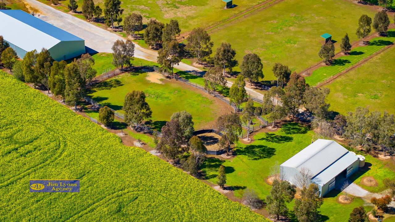 2226 Manilla Road, Tamworth For Sale by Farmbuy.com - image 52